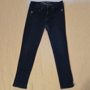 American Eagle Women's Navy Skinny Jeans